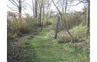 Property photo 98 - REAL ESTATE AUCTION, 163+/- Acres offered in 8 Tracts